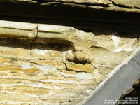 Sutton Benger - photo: 00021